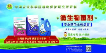 中國農(nóng)科院植保所土傳病害防治專家助力中保集團微生物菌劑技術推廣