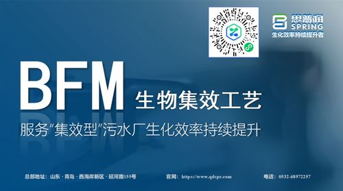 思普潤BFM生物集效工藝 賦能集效型污水廠，驅動生化效率的持續(xù)躍升
